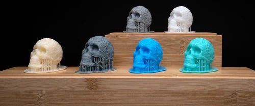 A group of skulls on a wooden shelf
Description automatically generated